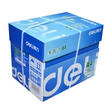得力（deli）7401 莱茵河复印纸 A4 70g 500张/包 5包/箱 五包装