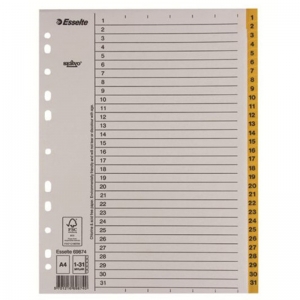 易达（Esselte）56118/69874 纸质分类索引/分页纸/隔页纸/索引纸 1-31(31页)