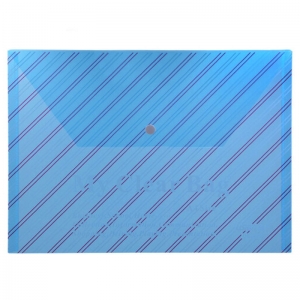 远生（USIGN）US-W209 斜条纹透明按扣文件袋 A4 颜色随机 12个/包